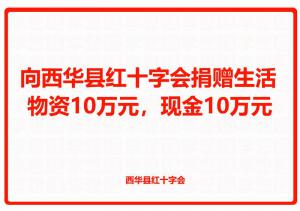 向西华县红十字会捐赠生活物资10万元，现金10万元